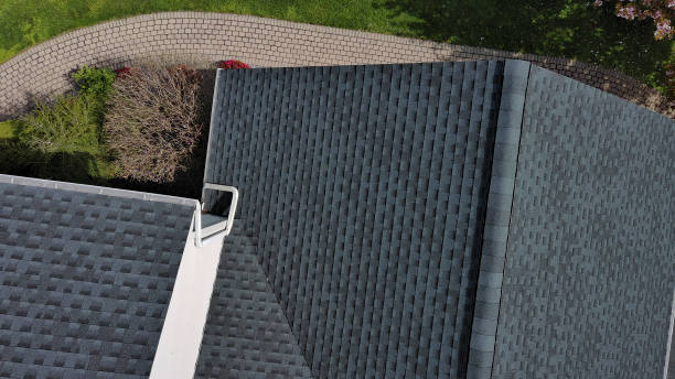 Best Roof Moss and Algae Removal  in Camp Hill, PA